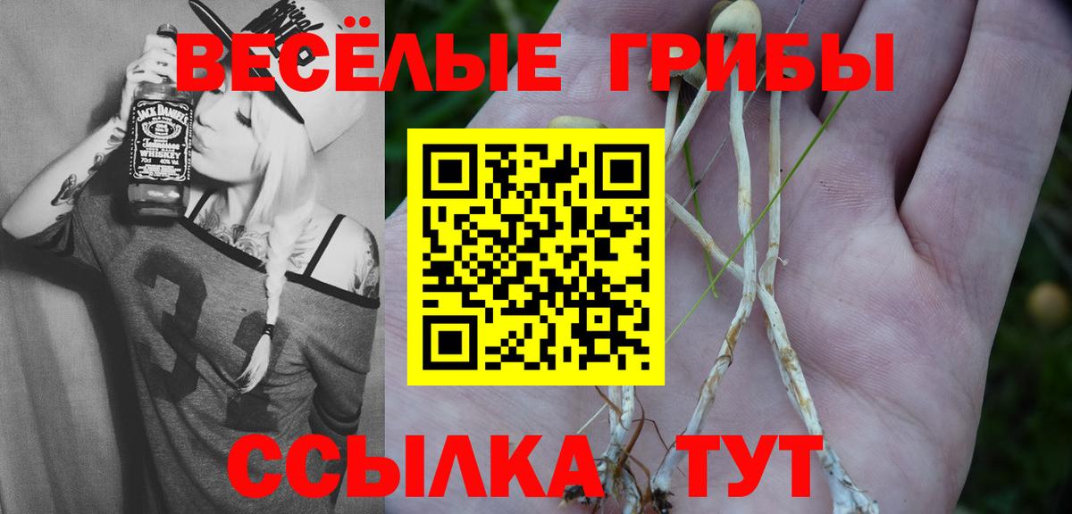 Псилоцибиновые грибы GOLDEN TEACHER Белая Калитва